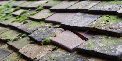 Penge roof repair costs